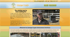 Desktop Screenshot of lineagecrypts.com